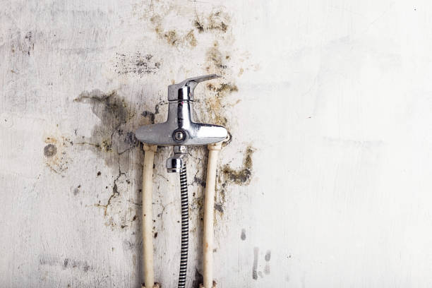 Water Damage Restoration in Berry Creek, CA