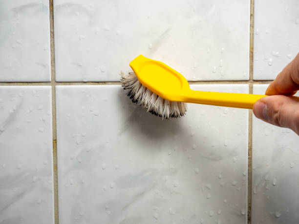 Best Affordable Mold Removal  in Berry Creek, CA