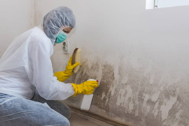 Best Crawl Space Mold Removal  in Berry Creek, CA